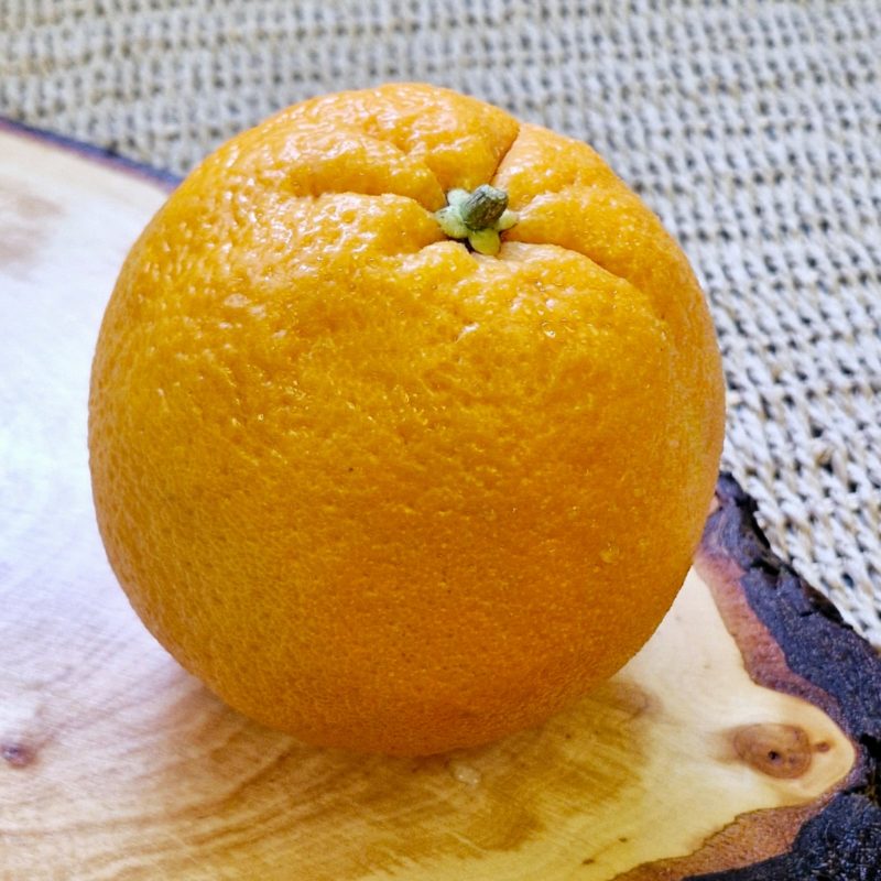 Orange Navel (1kg)